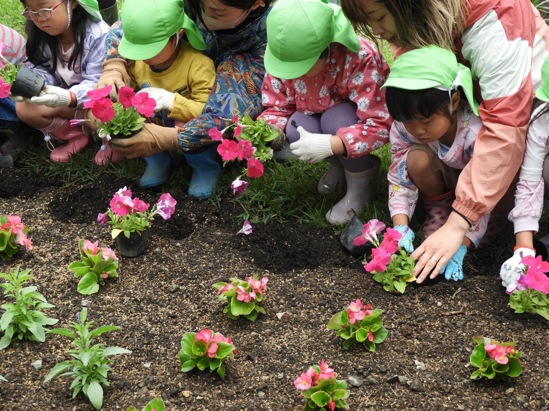 園児達が花壇にかがんで先生の話を聞いている