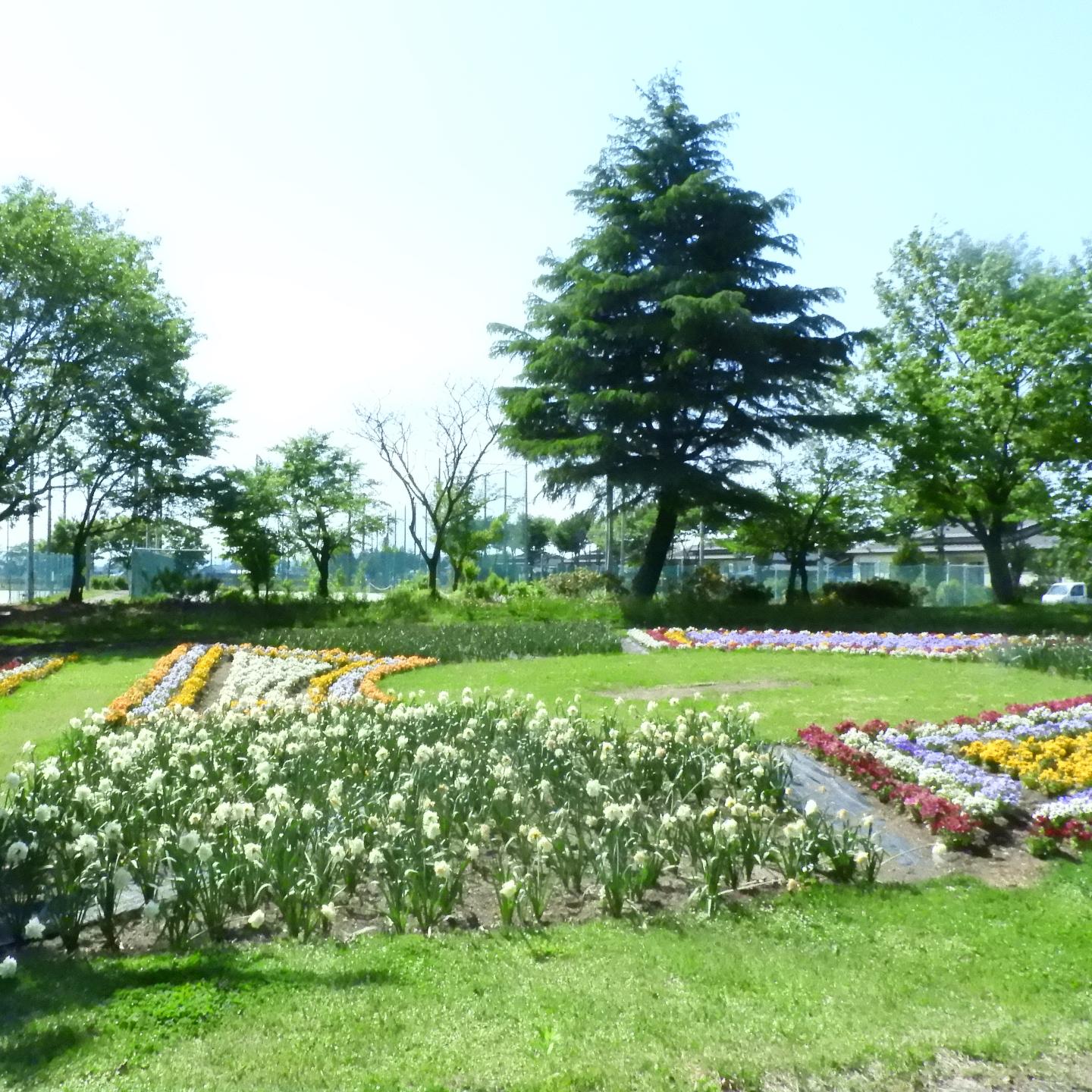 青空と緑のコントラストに囲まれ、花壇にいろとりどりの花が咲いている様子
