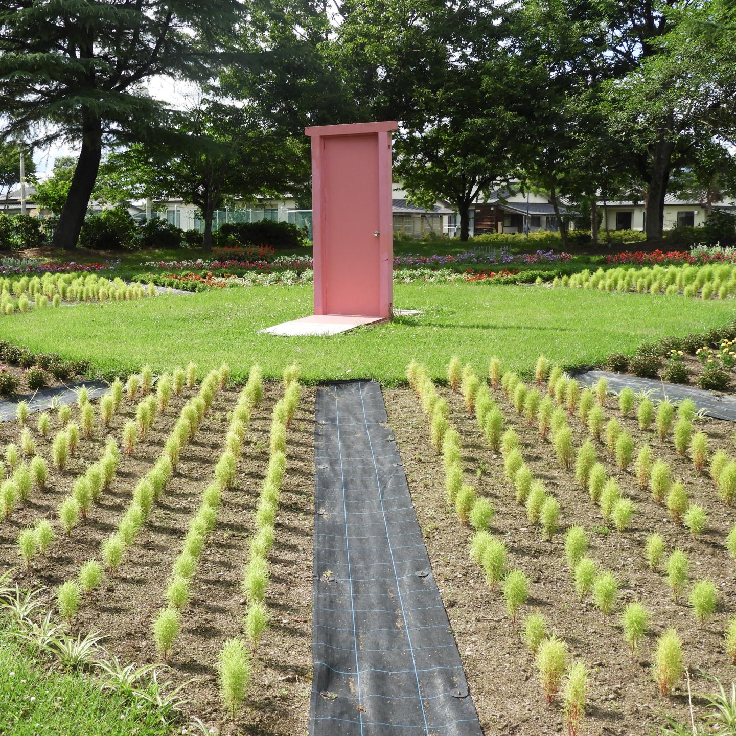 公園の花壇の中心部に出現したピンクのドア