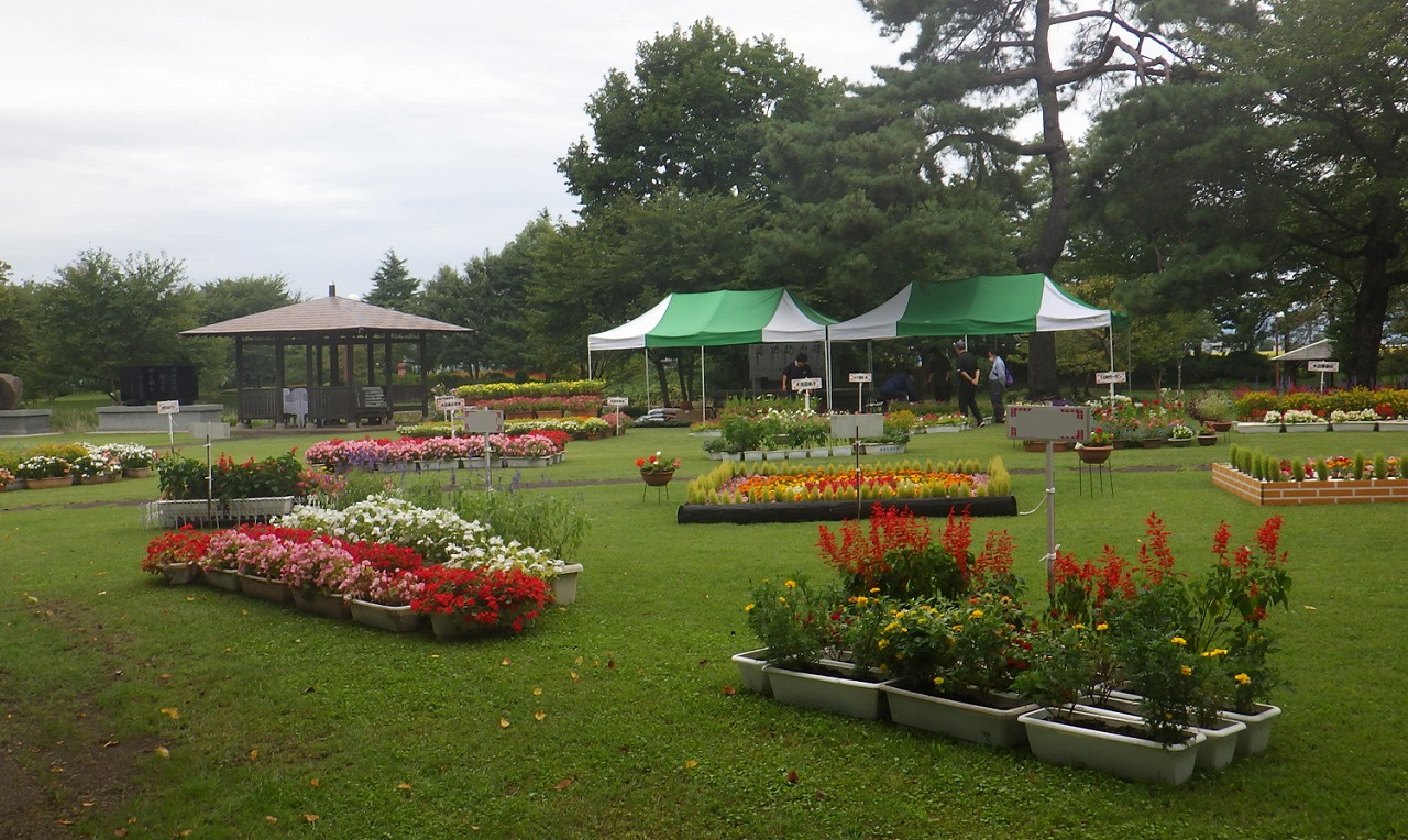 昨年の様子、公園内にところせましとプランターが並べられている