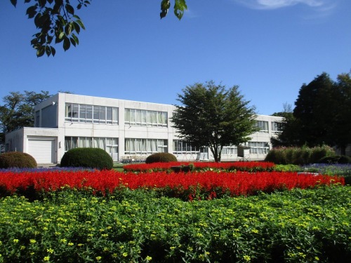 太田南小学校校舎の写真、校庭にはサルビアなどの花々が咲いている
