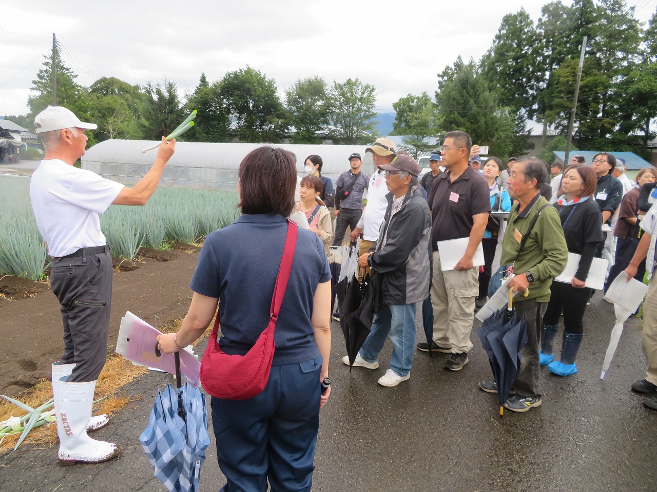 路地栽培されているネギのほ場の前で説明を聞く研修生