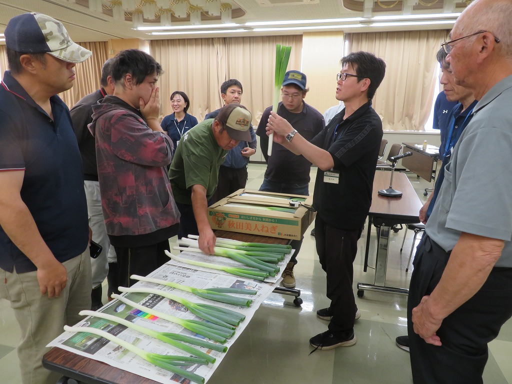 講師がネギを手に取って参加者に説明