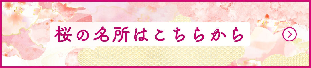 桜の名所はこちらから