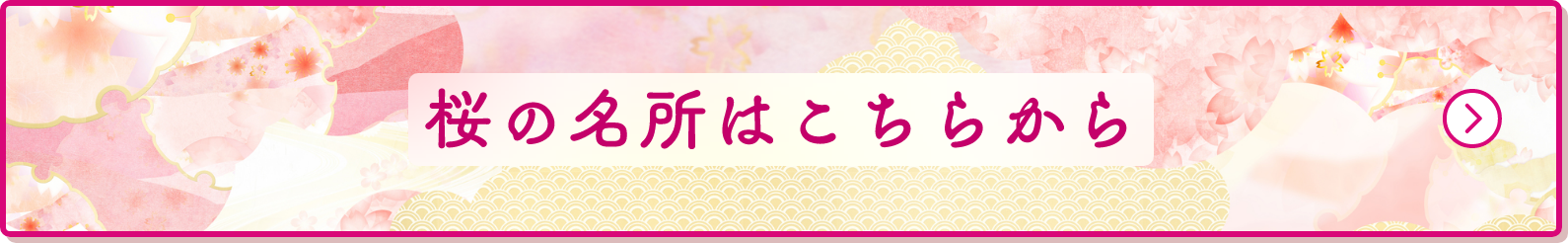 桜の名所はこちらから