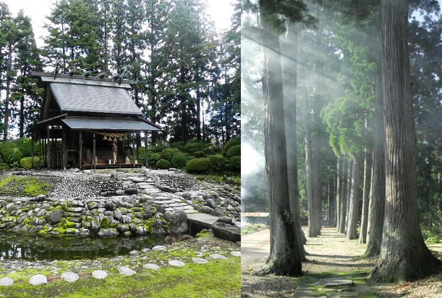 唐松神社・杉並木